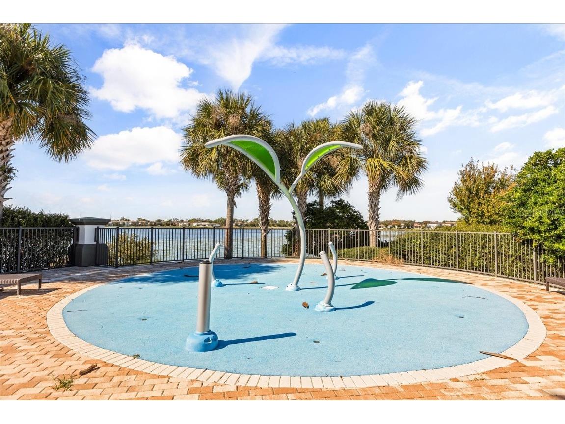 10713 Berry Creek Road Orlando FL 32836 O6361129 image44