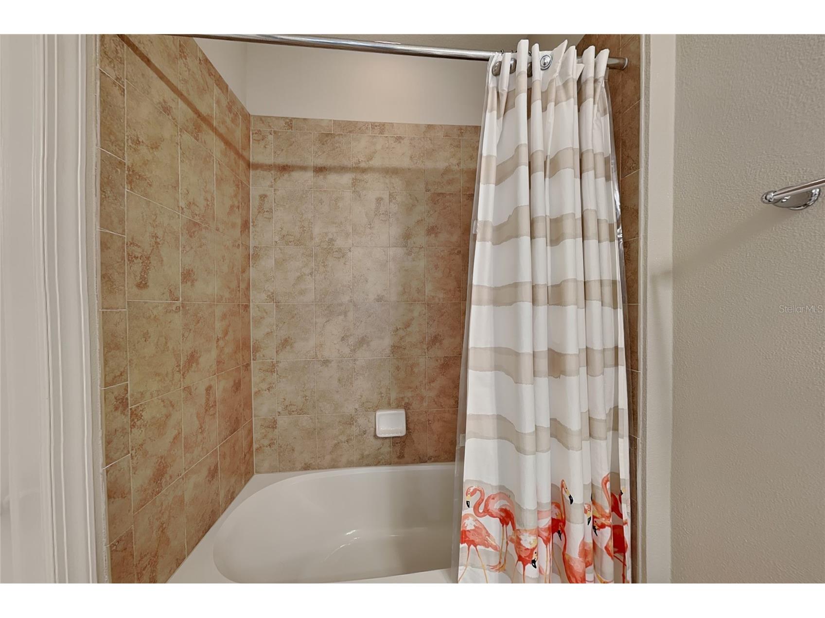 10713 Berry Creek Road Orlando FL 32836 O6419239 image22