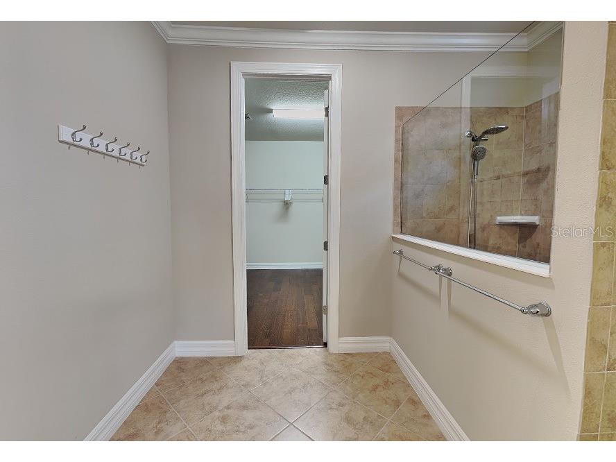 10713 Berry Creek Road Orlando FL 32836 O6419239 image31