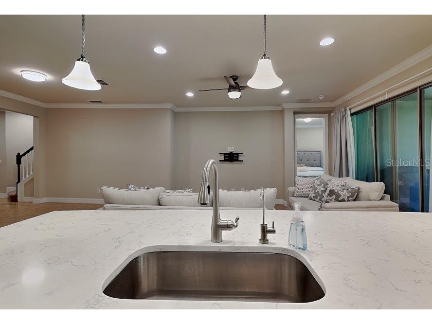 10713 Berry Creek Road Orlando FL 32836 O6419239 image6