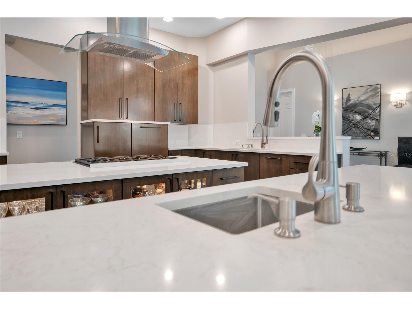 10713 Boca Pointe Drive Orlando FL 32836 O6413310 image35