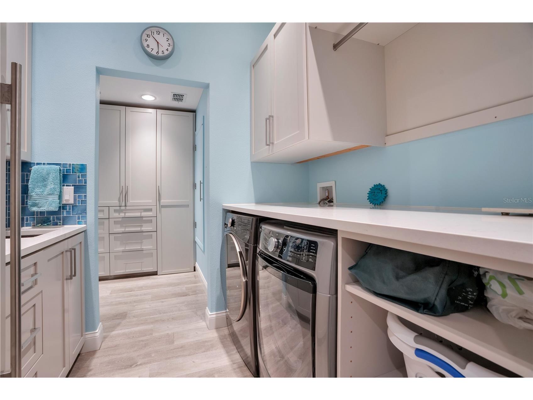 10713 Boca Pointe Drive Orlando FL 32836 O6413310 image65
