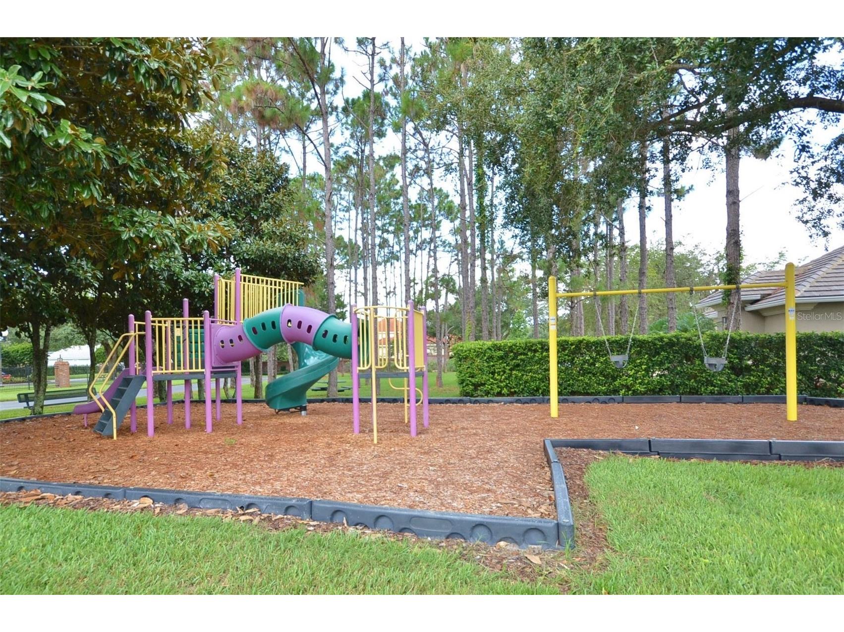 10713 Boca Pointe Drive Orlando FL 32836 O6413310 image93
