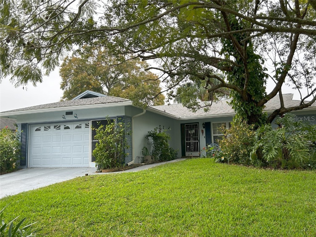 10713 Mira Vista Drive Port Richey FL 34668 W7858535 image1