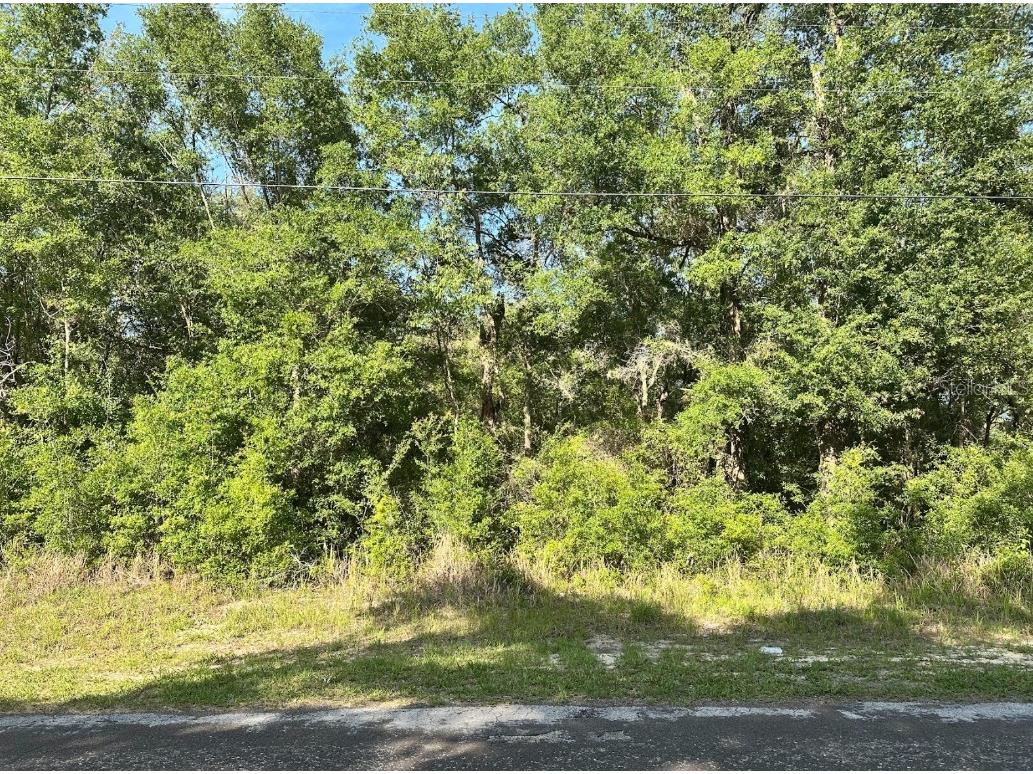 10713 N Adler Drive Citrus Springs FL 34434 OM705142 image1