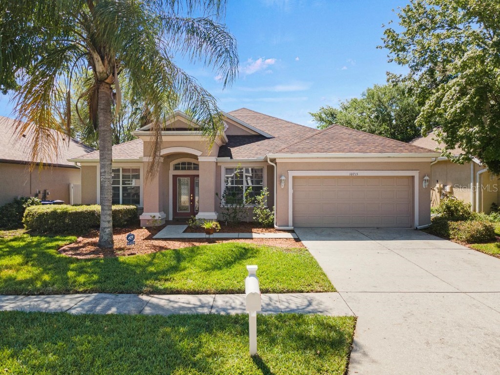 10715 Deerberry Drive Land O Lakes FL 34638 T3515391 image1