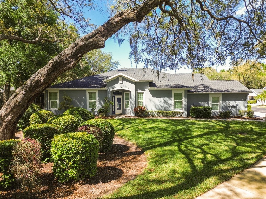 10716 Ashford Oaks Drive Tampa FL 33625 T3516738 image1