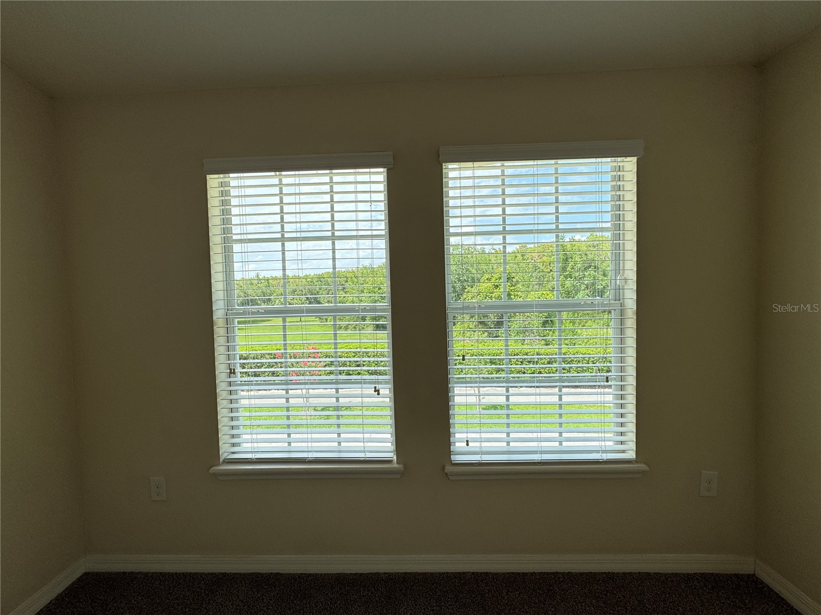 10716 Dawson Lily Way #39A Orlando FL 32832 O6407788 image22