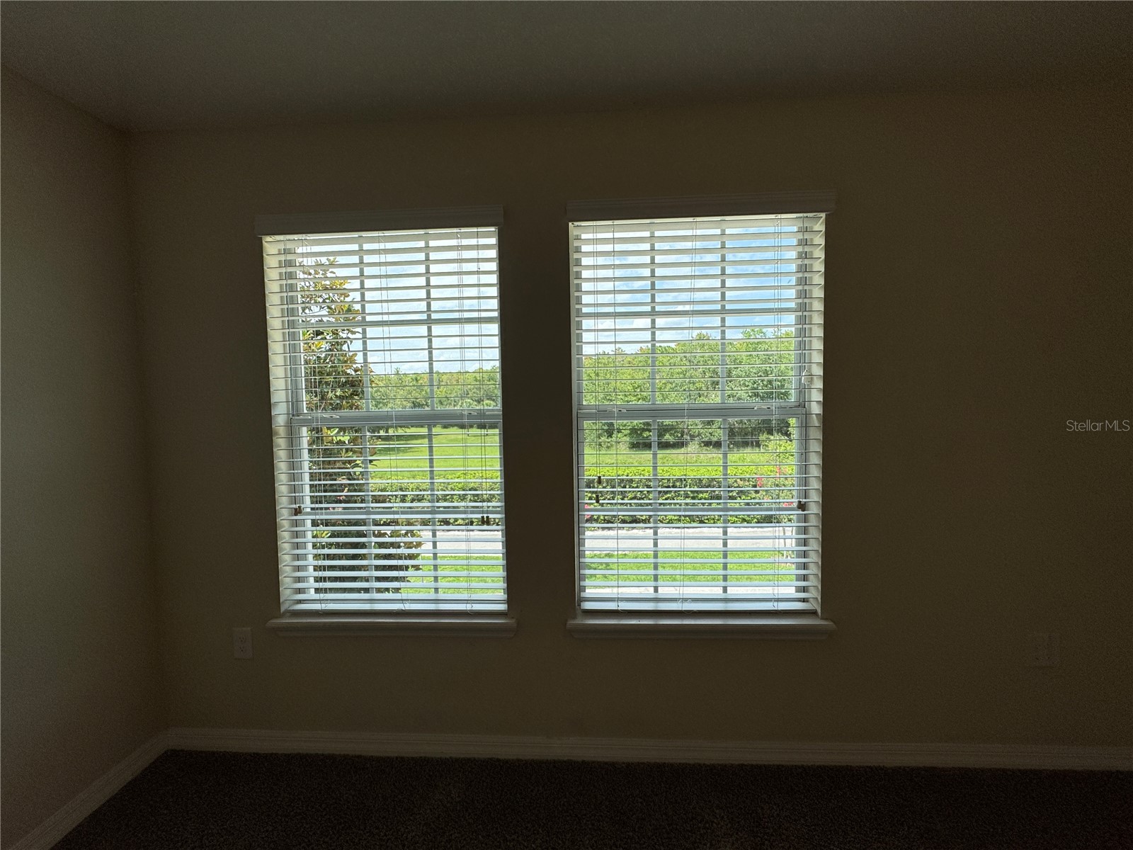 10716 Dawson Lily Way #39A Orlando FL 32832 O6407788 image33