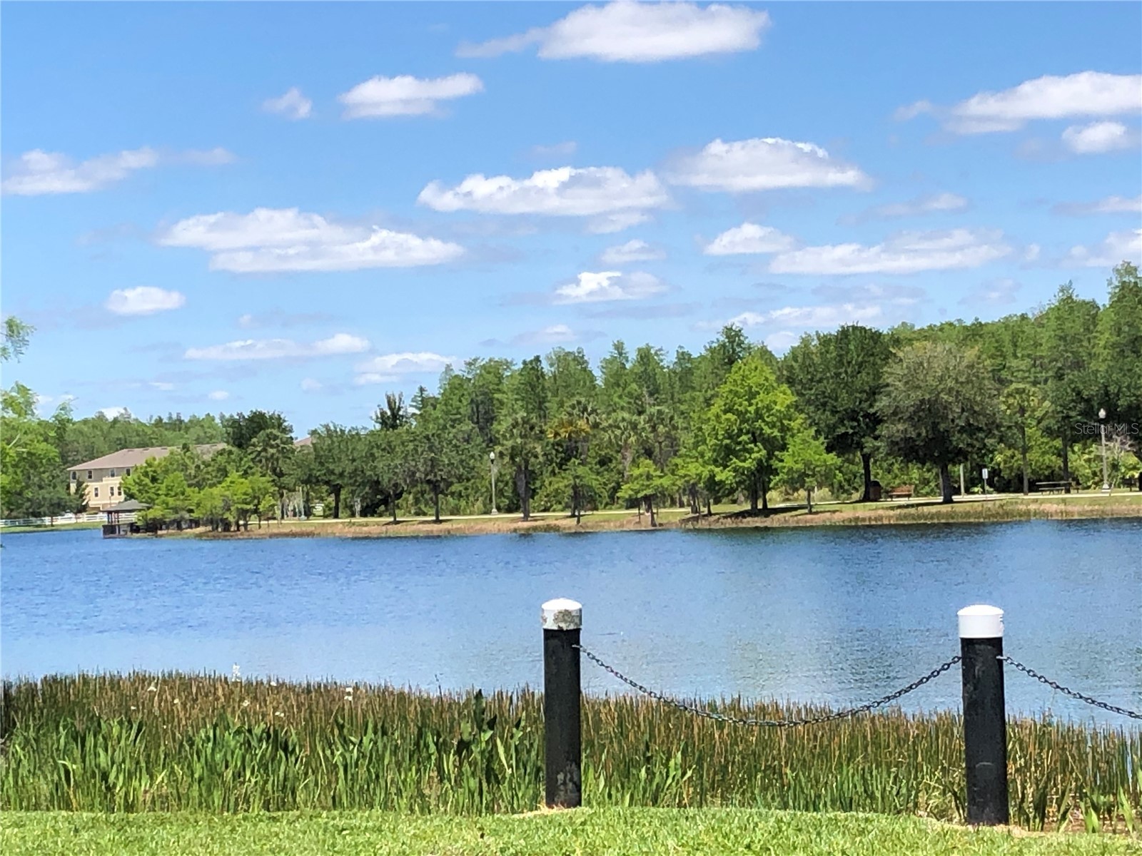 10716 Dawson Lily Way #39A Orlando FL 32832 O6407788 image42