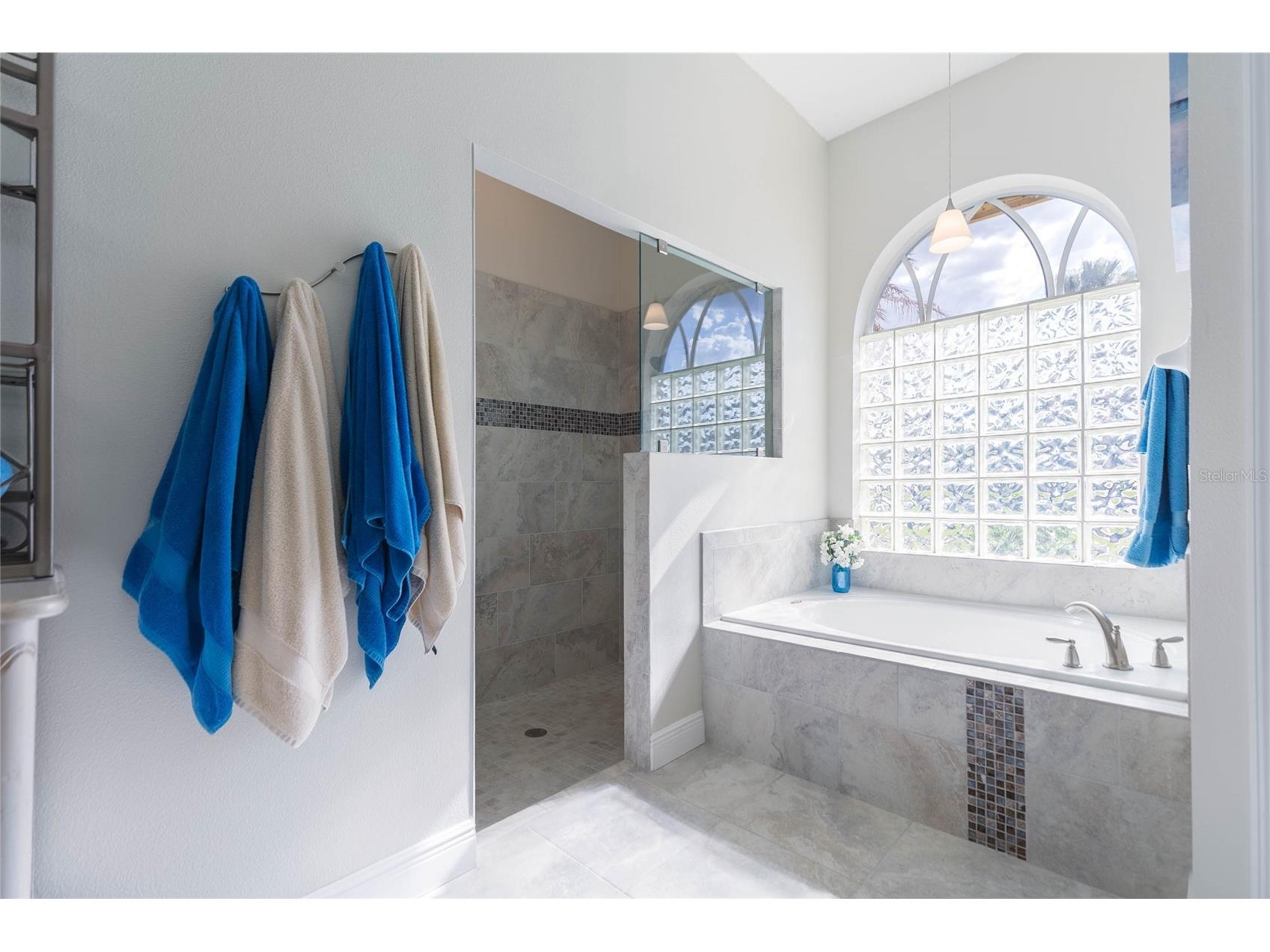 10717 Cory Lake Drive Tampa FL 33647 - CORY LAKE TB8509604 image31