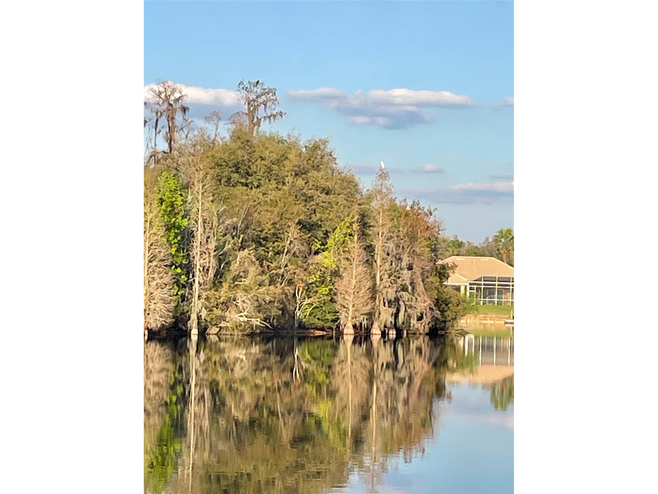 10717 Cory Lake Drive Tampa FL 33647 - CORY LAKE TB8509604 image66