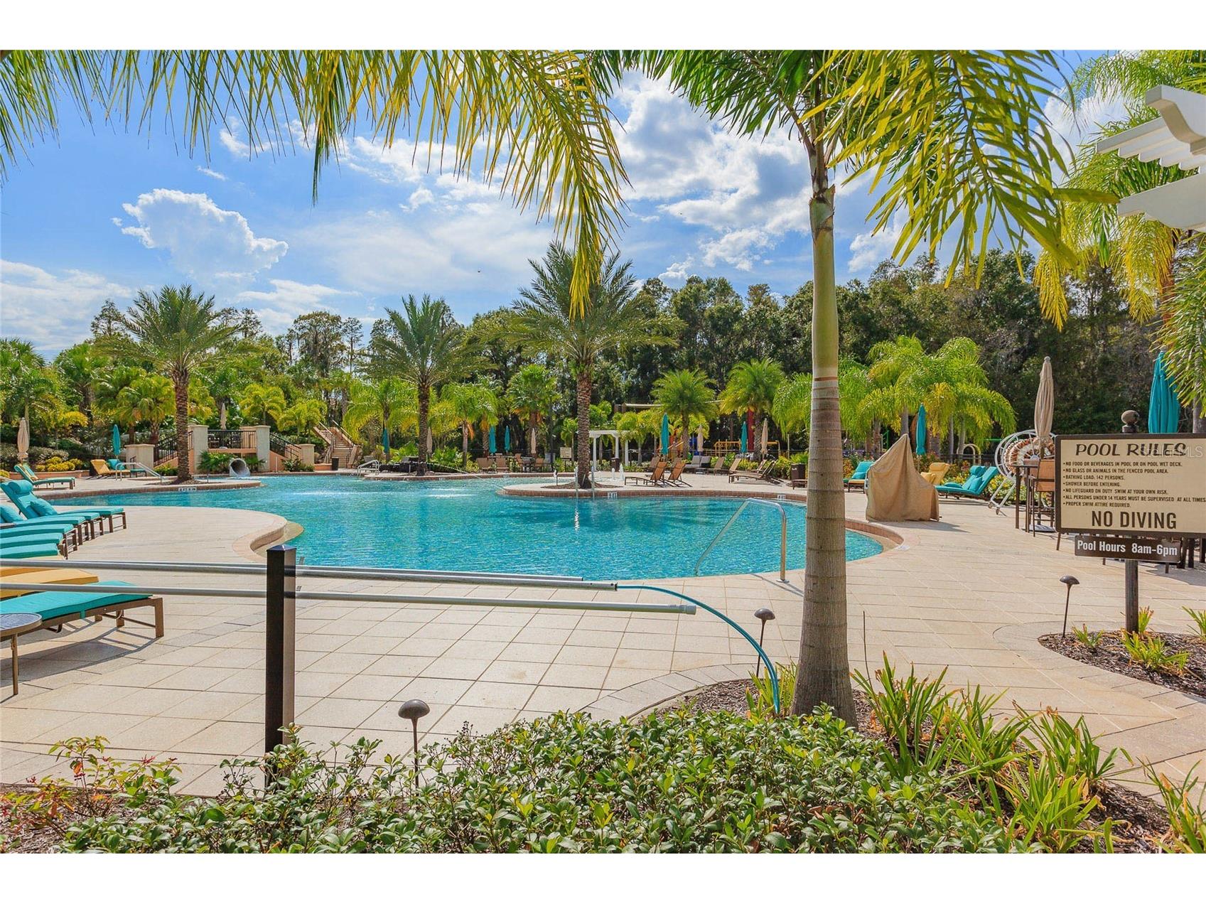 10717 Cory Lake Drive Tampa FL 33647 - CORY LAKE TB8509604 image71