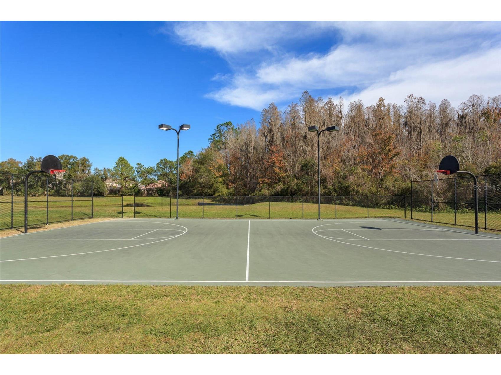 10717 Cory Lake Drive Tampa FL 33647 - CORY LAKE TB8509604 image74