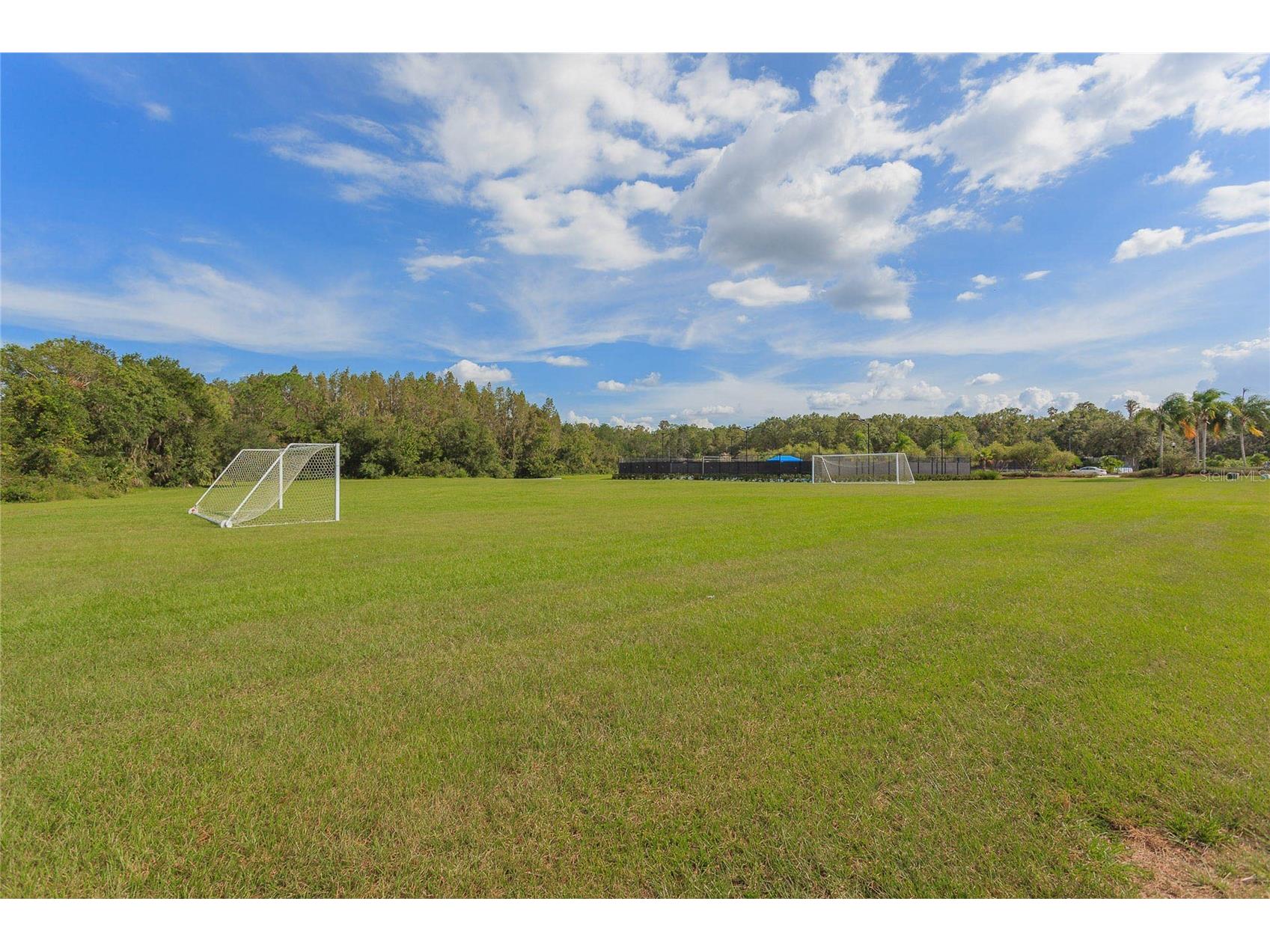 10717 Cory Lake Drive Tampa FL 33647 - CORY LAKE TB8509604 image76