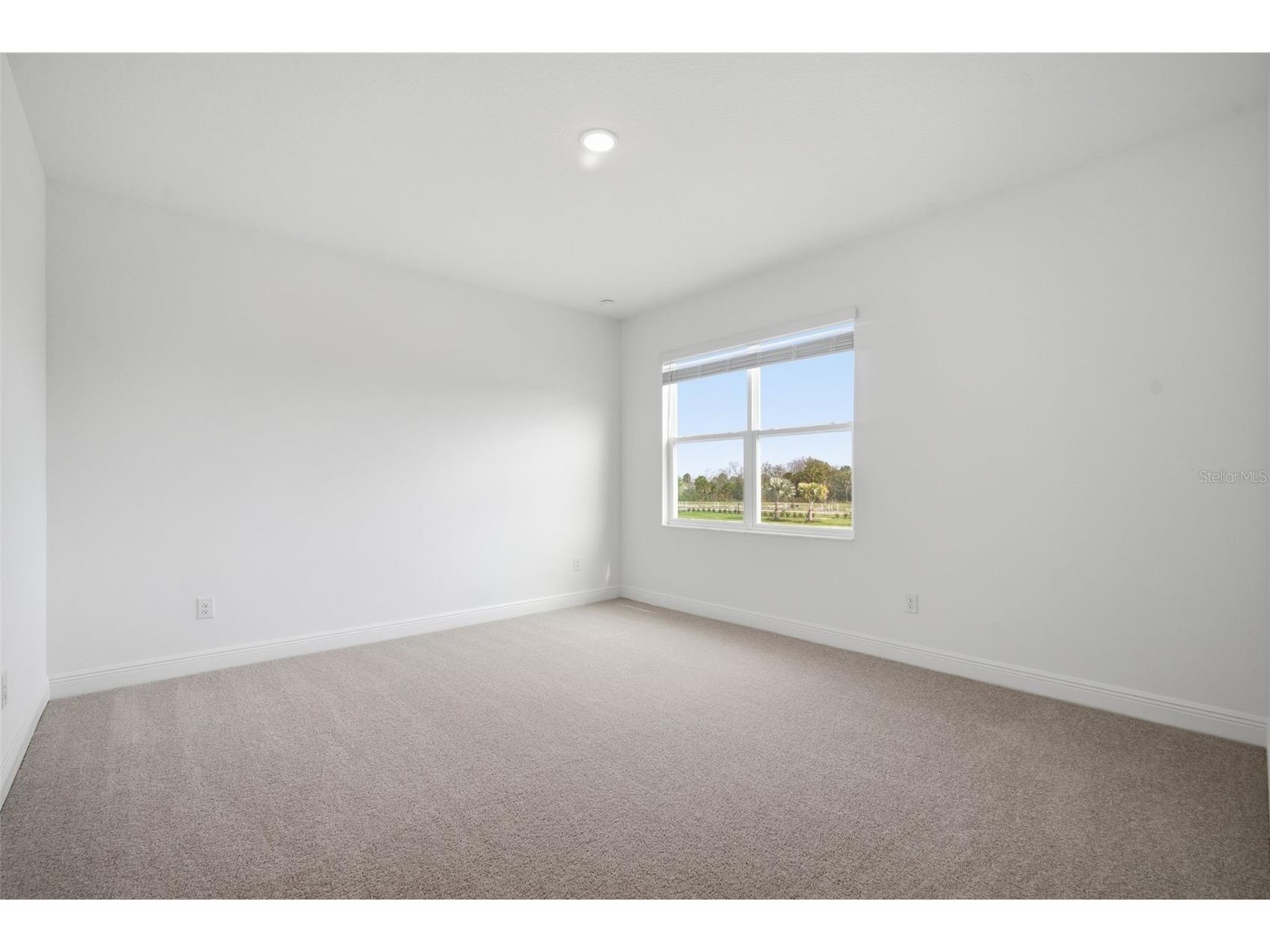 10717 Wading River Avenue Parrish FL 34219 TB8395896 image21