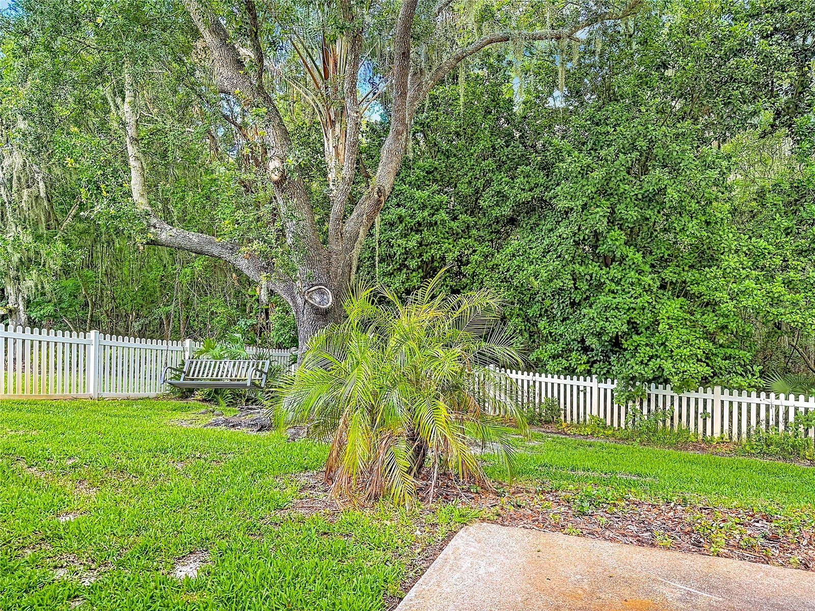 10719 Fairhaven Way Orlando FL 32825 S5150397 image37