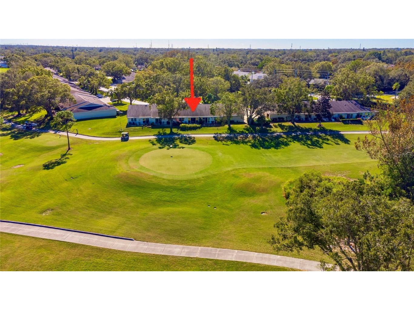 1072 Dunrobin Drive #B Palm Harbor FL 34684 - LAKE TARPON TB8323847 image1