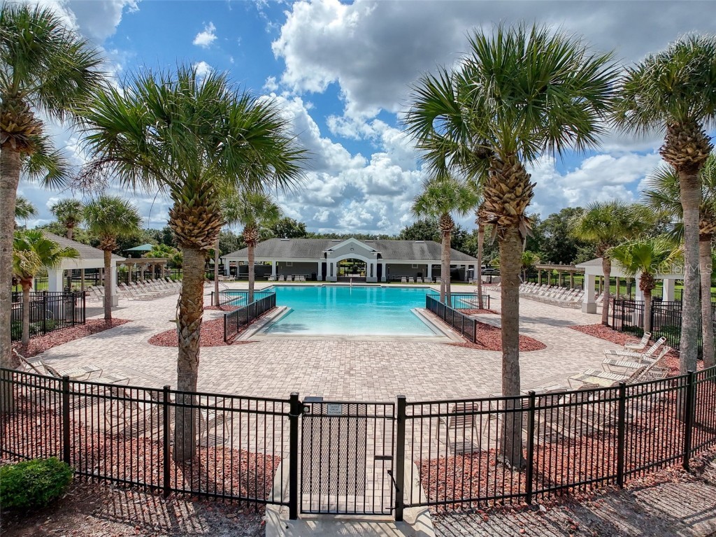 1072 Hill Flower Drive Brooksville FL 34604 C7514608 image57