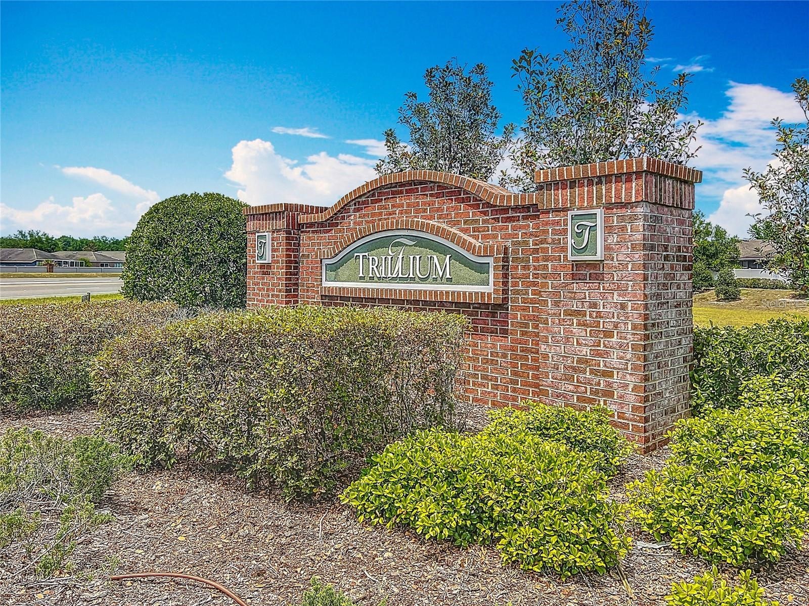 1072 Hill Flower Drive Brooksville FL 34604 W7887041 image27