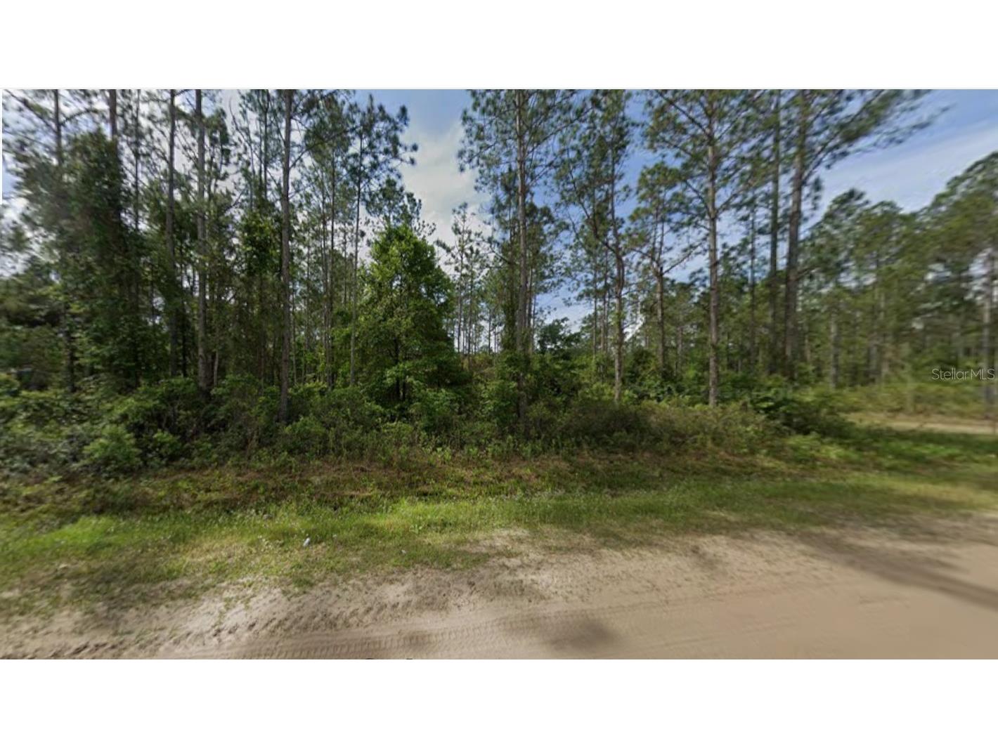 10720 Beckenger Avenue Hastings FL 32145 OM714759 image1