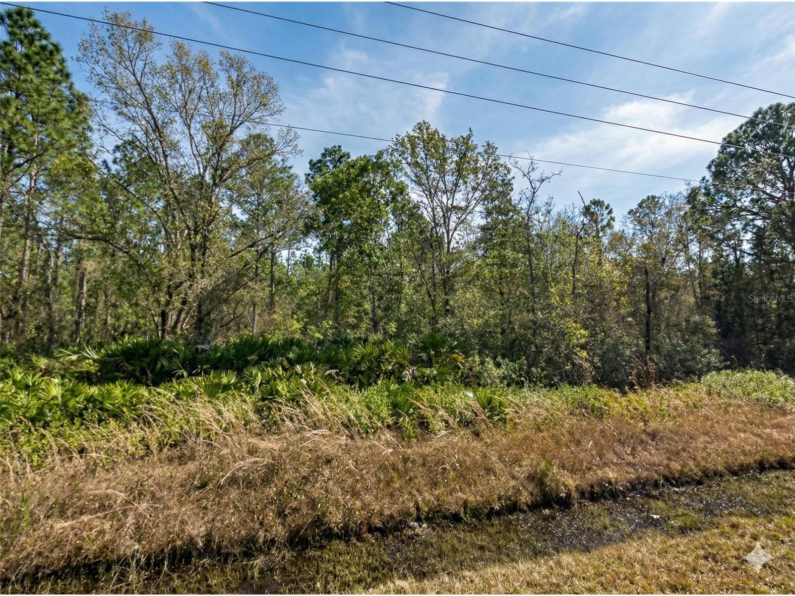 10720 Yeager Avenue Hastings FL 32145 OM719801 image1