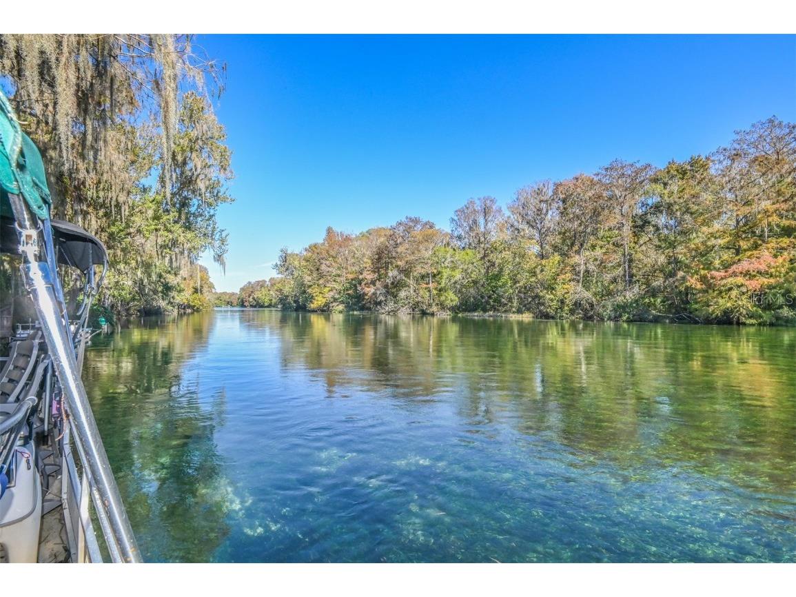 10721 SW 185th Terrace Dunnellon FL 34432 - RAINBOW RIVER OM668652 image1