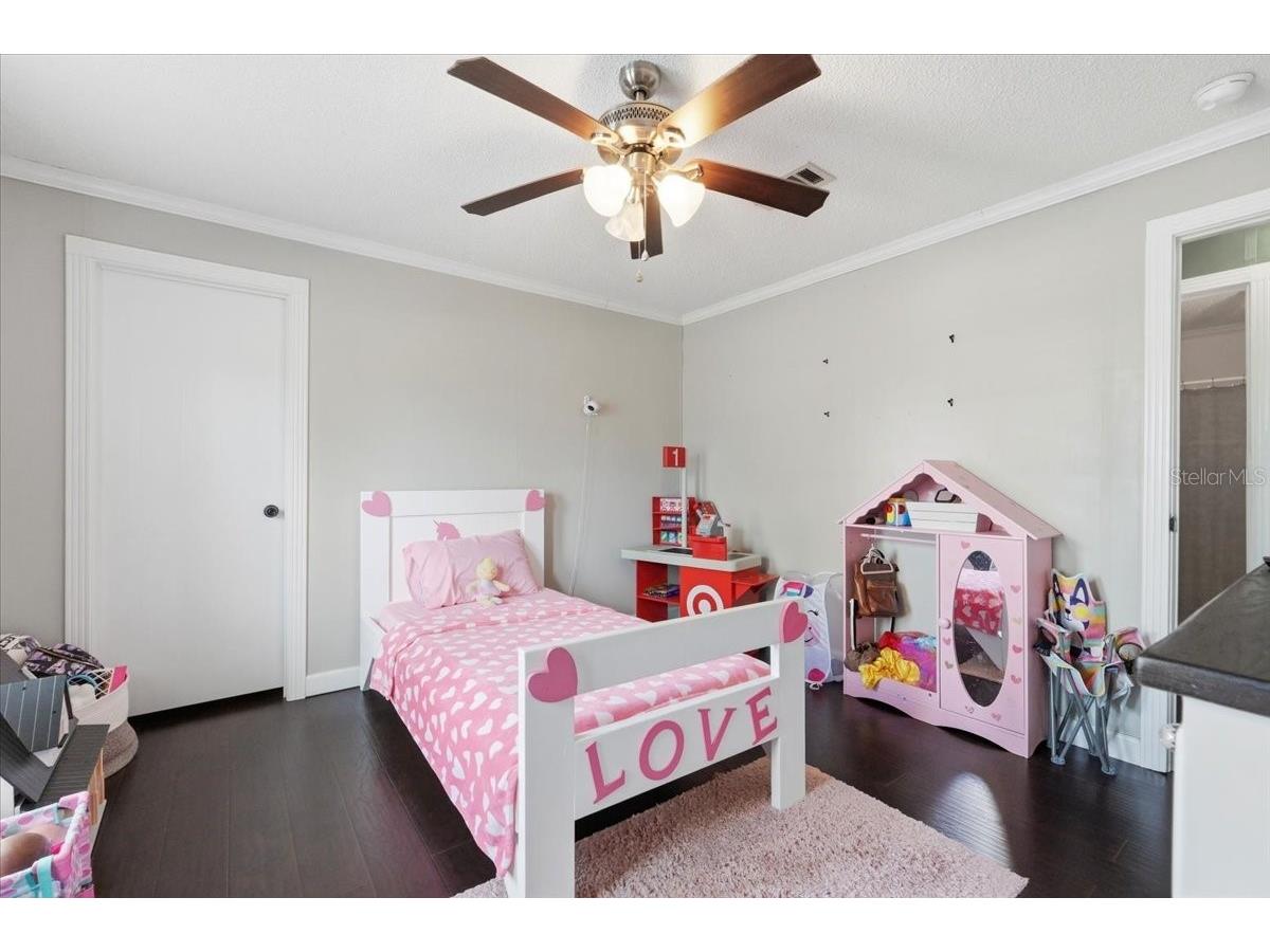 10724 Pathfinder Trail Lakeland FL 33809 L4961638 image30