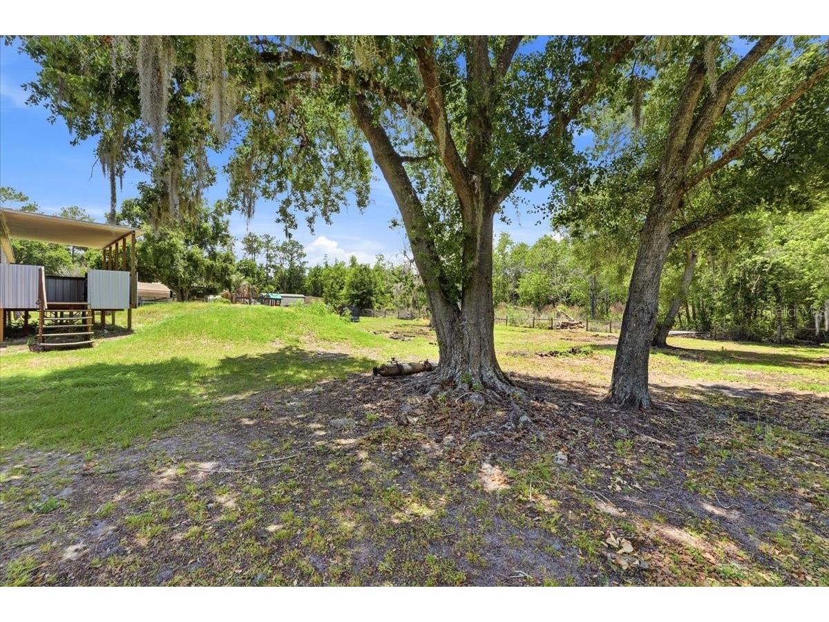 10724 Pathfinder Trail Lakeland FL 33809 L4961638 image41