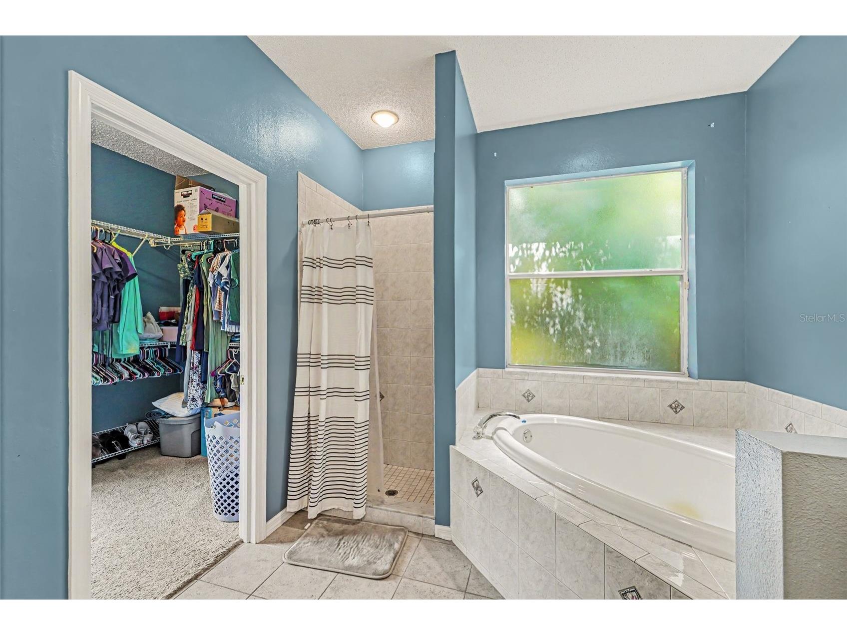 10724 Patrick Ave Hudson FL 34669 TB8523385 image11