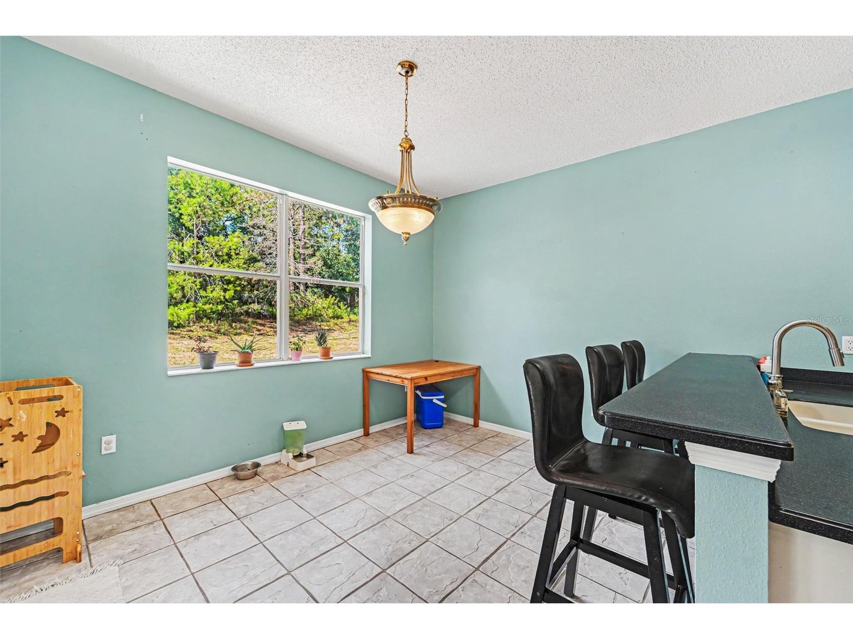 10724 Patrick Ave Hudson FL 34669 TB8523385 image8