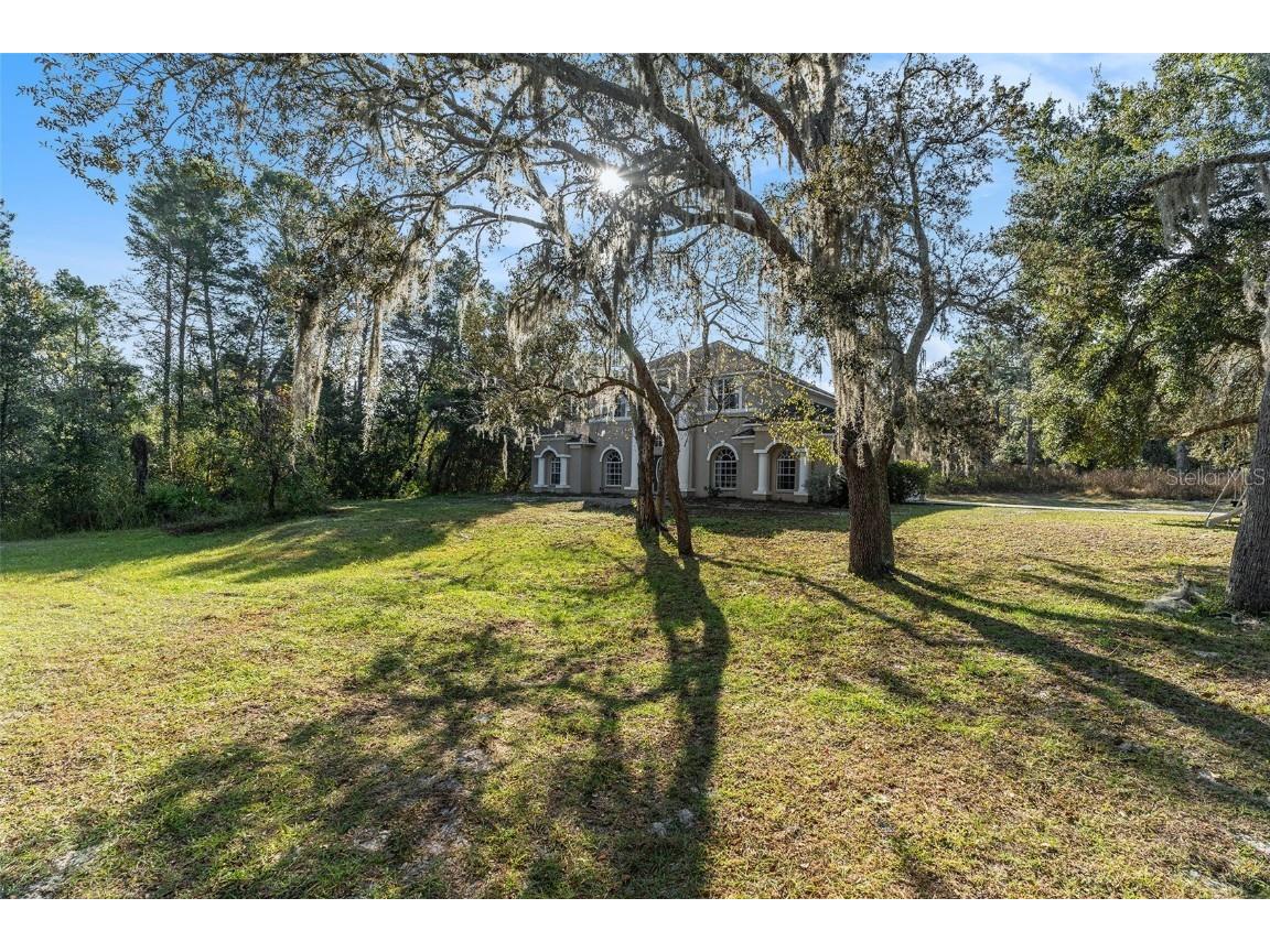 10724 Patrick Avenue Hudson FL 34669 TB8449968 image2