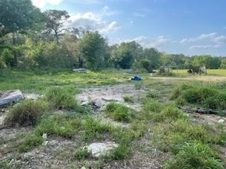 10725 Demille Road Polk City FL 33868 O6293989 image3