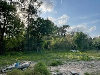 10725 Demille Road Polk City FL 33868 O6294011 image3