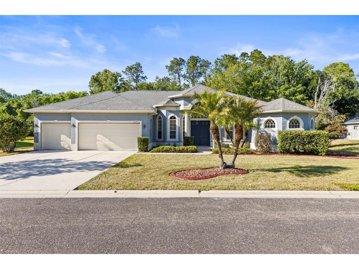 10726 Miracle Lane New Port Richey FL 34654 TB8374586 image1
