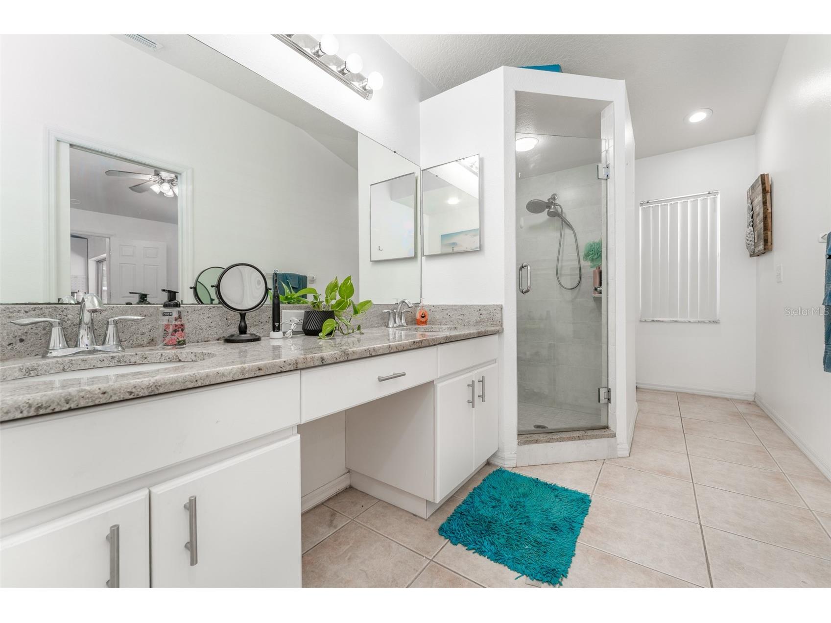 10727 Deepbrook Dr Riverview FL 33569 TB8503736 image15