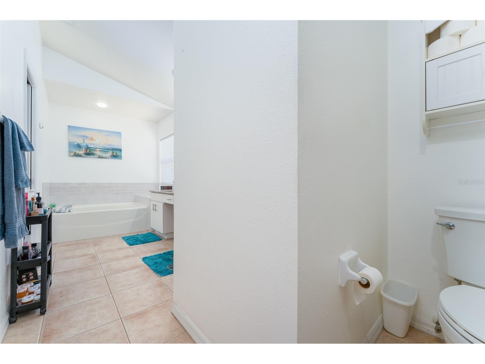 10727 Deepbrook Dr Riverview FL 33569 TB8503736 image16