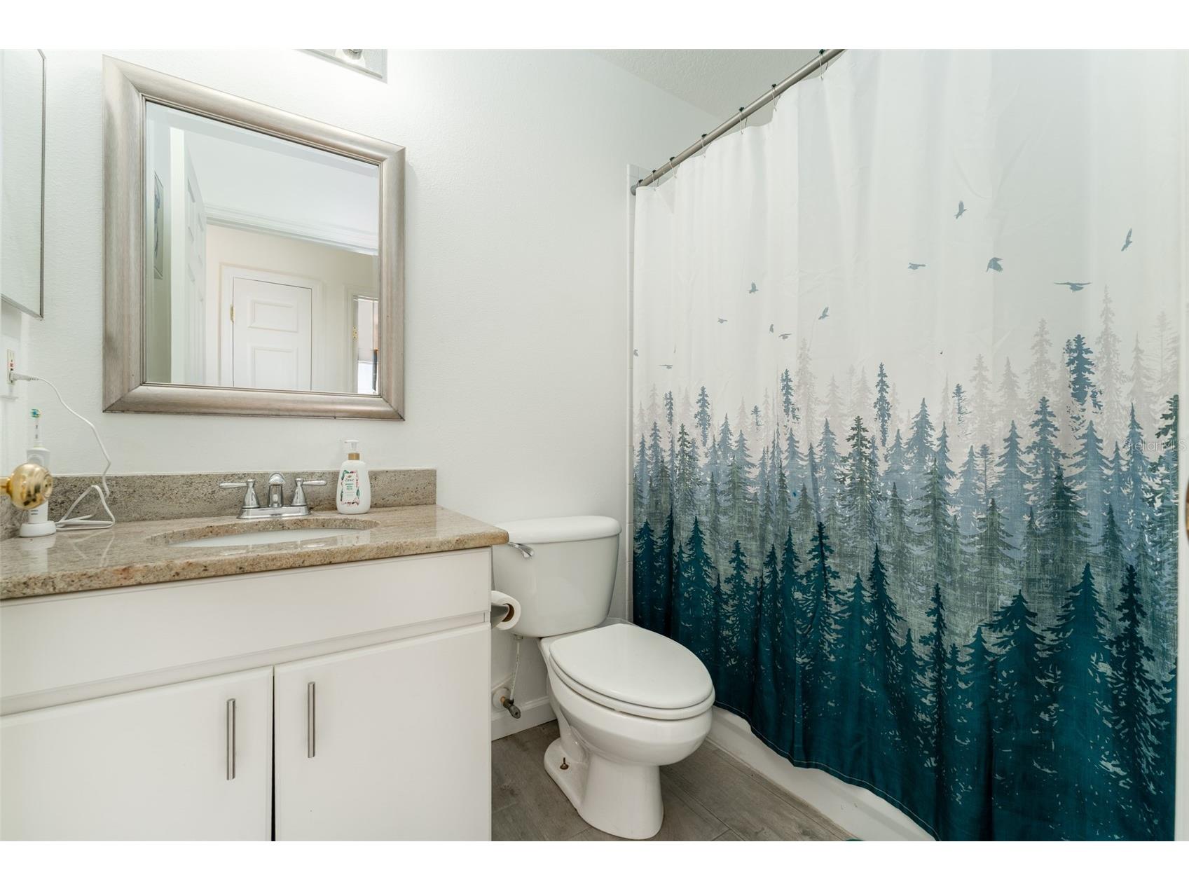 10727 Deepbrook Dr Riverview FL 33569 TB8503736 image23