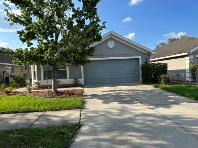 10727 Standing Stone Drive Wimauma FL 33598 T3449164 image1