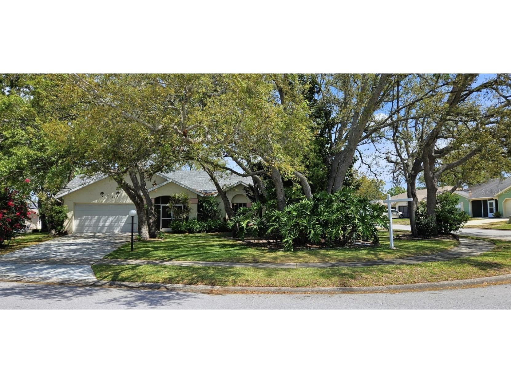 10728 Fallen Leaf Ln Port Richey FL 34668 TB8371967 image1