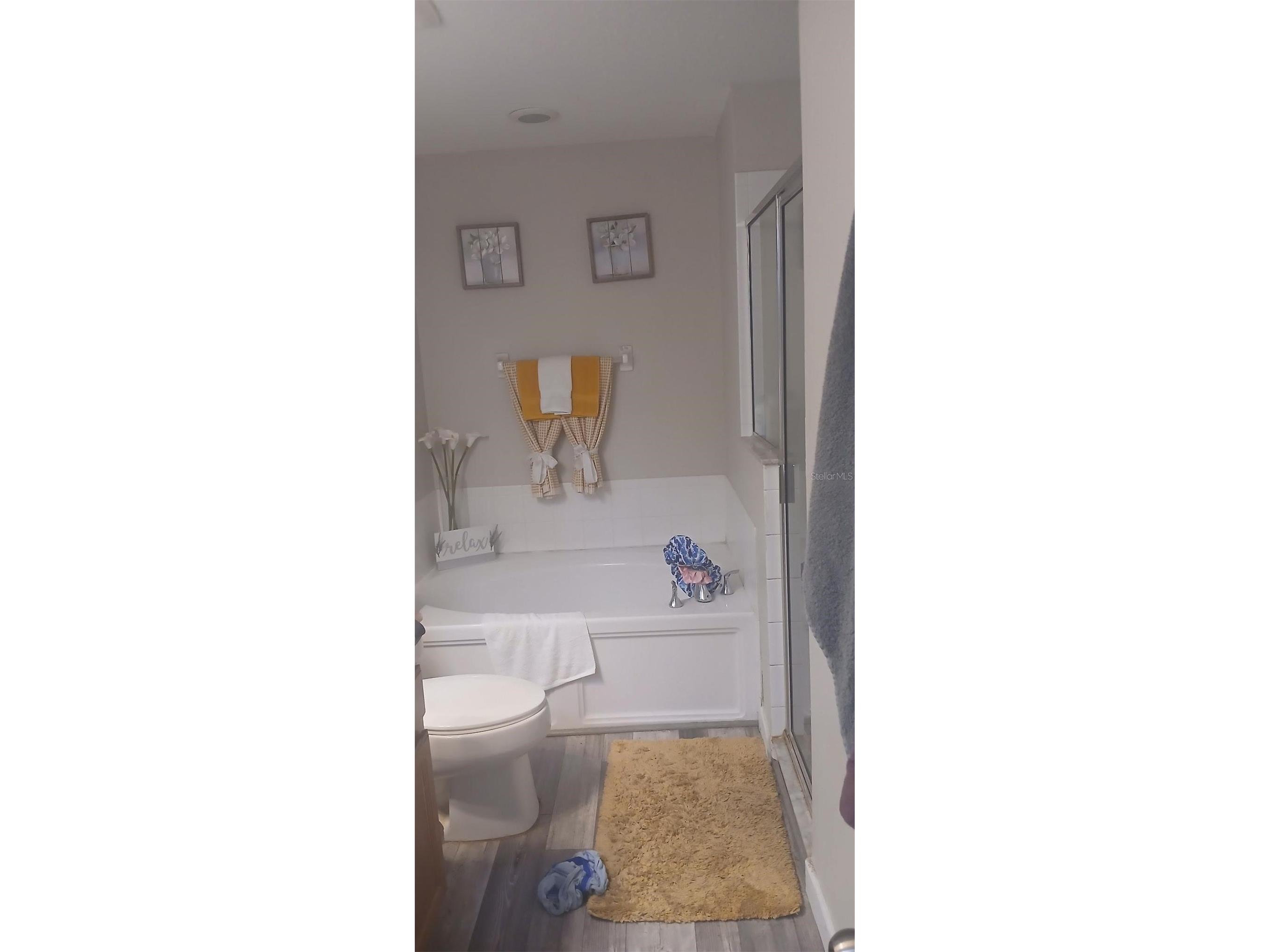 10728 Shady Preserve Drive Riverview FL 33579 TB8526819 image15