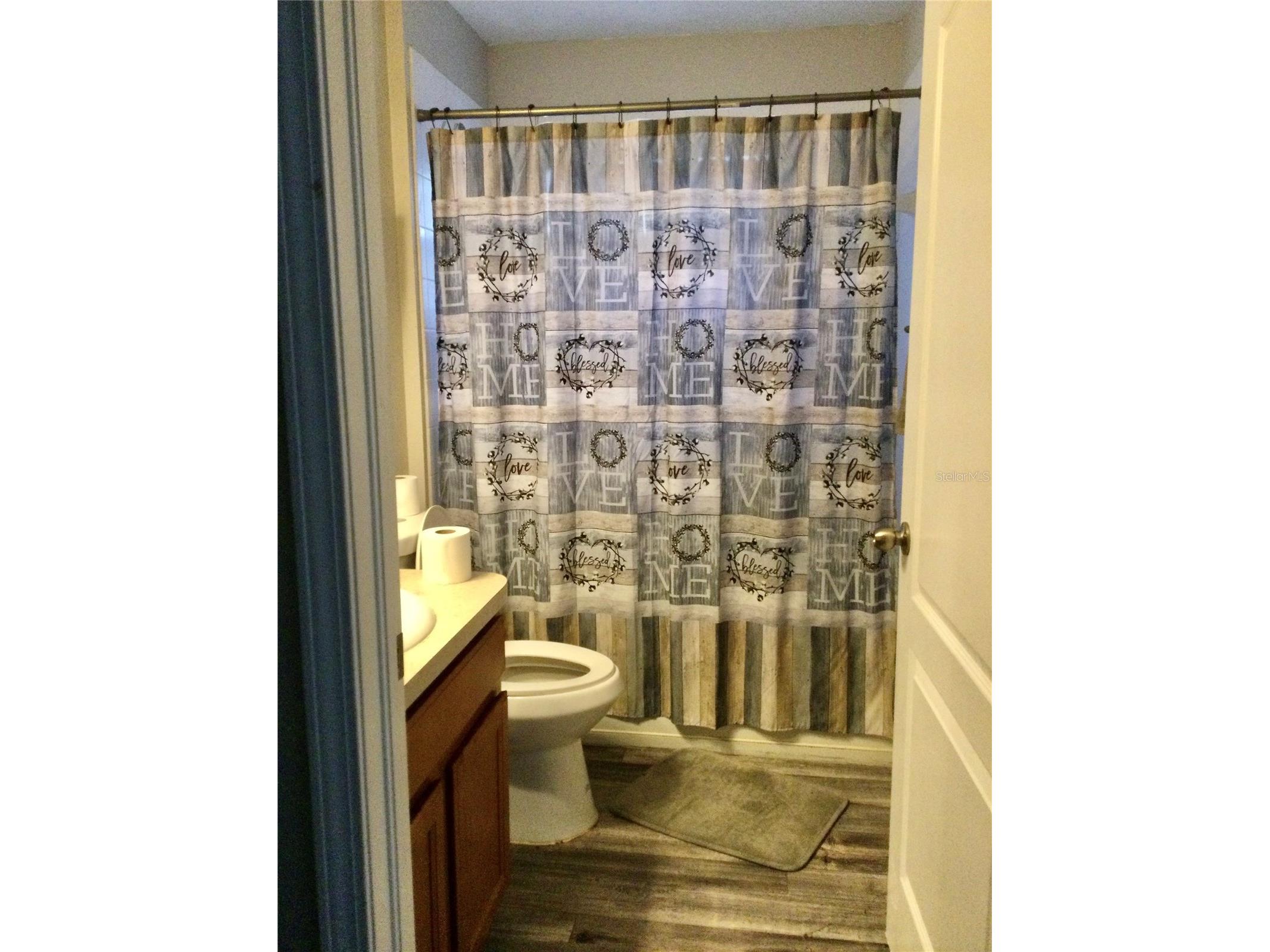 10728 Shady Preserve Drive Riverview FL 33579 TB8526819 image8