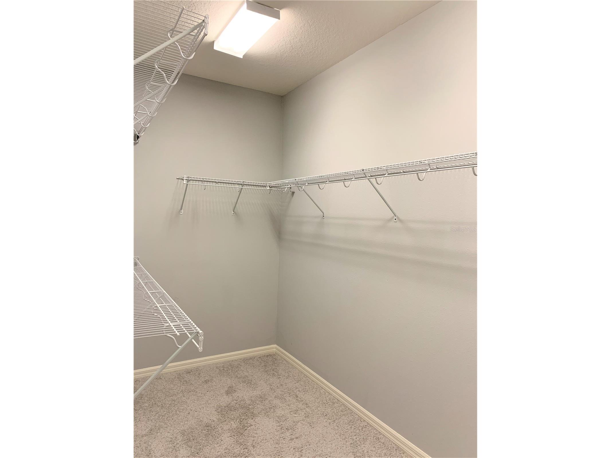 1073 Amber Leaf Trail Wesley Chapel FL 33544 TB8481296 image14