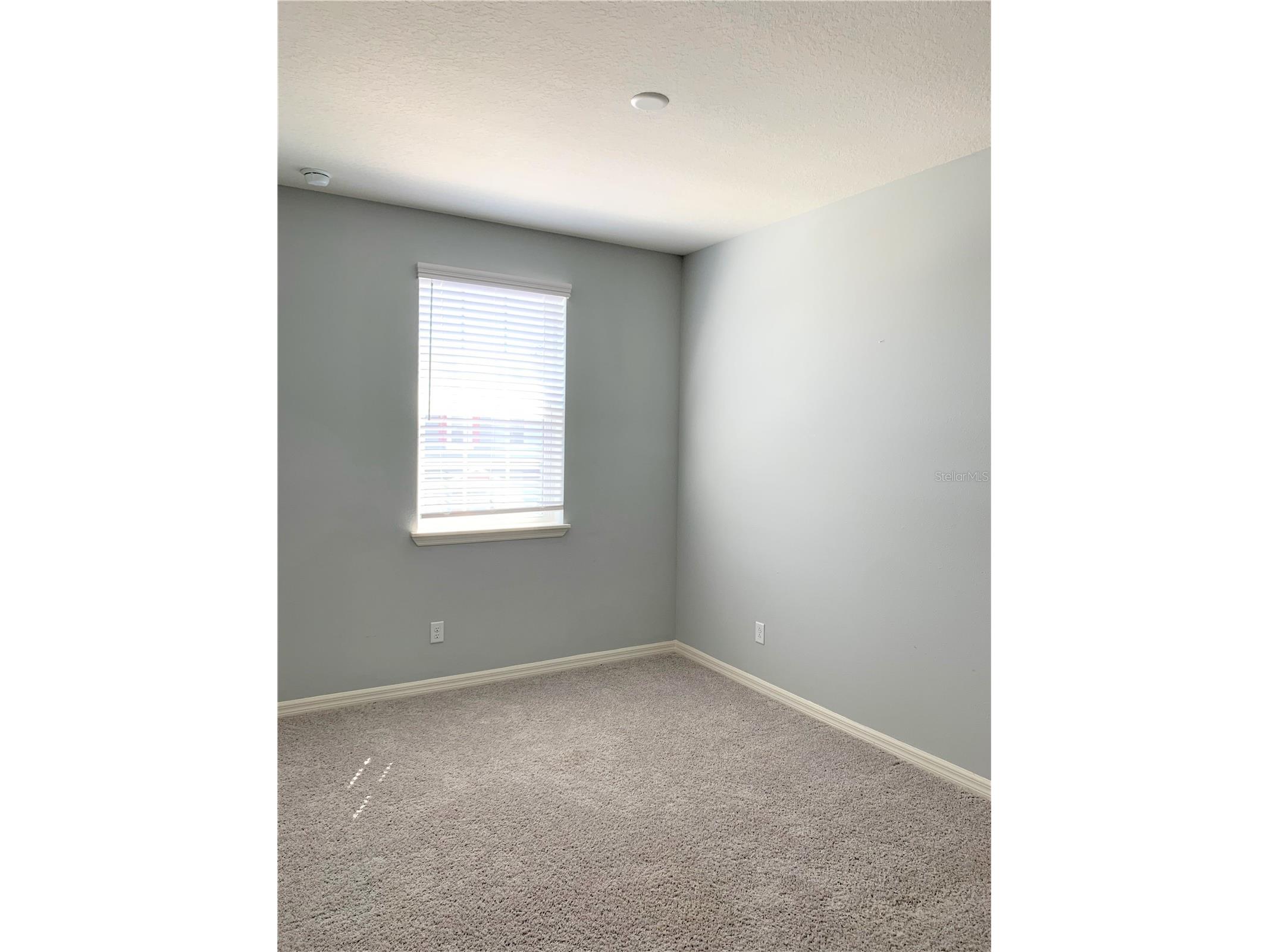 1073 Amber Leaf Trail Wesley Chapel FL 33544 TB8481296 image17