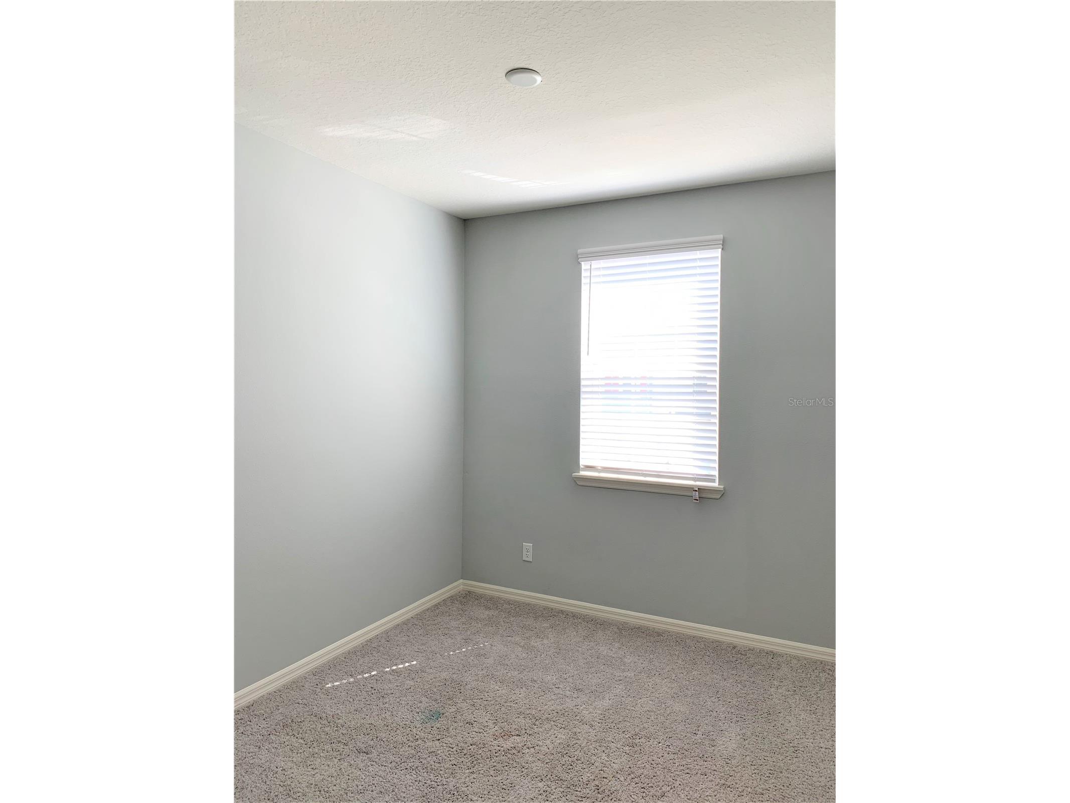 1073 Amber Leaf Trail Wesley Chapel FL 33544 TB8481296 image19