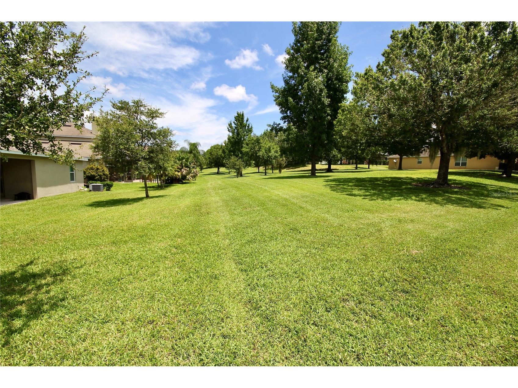 1073 Cavan Drive Apopka FL 32703 O6408201 image36