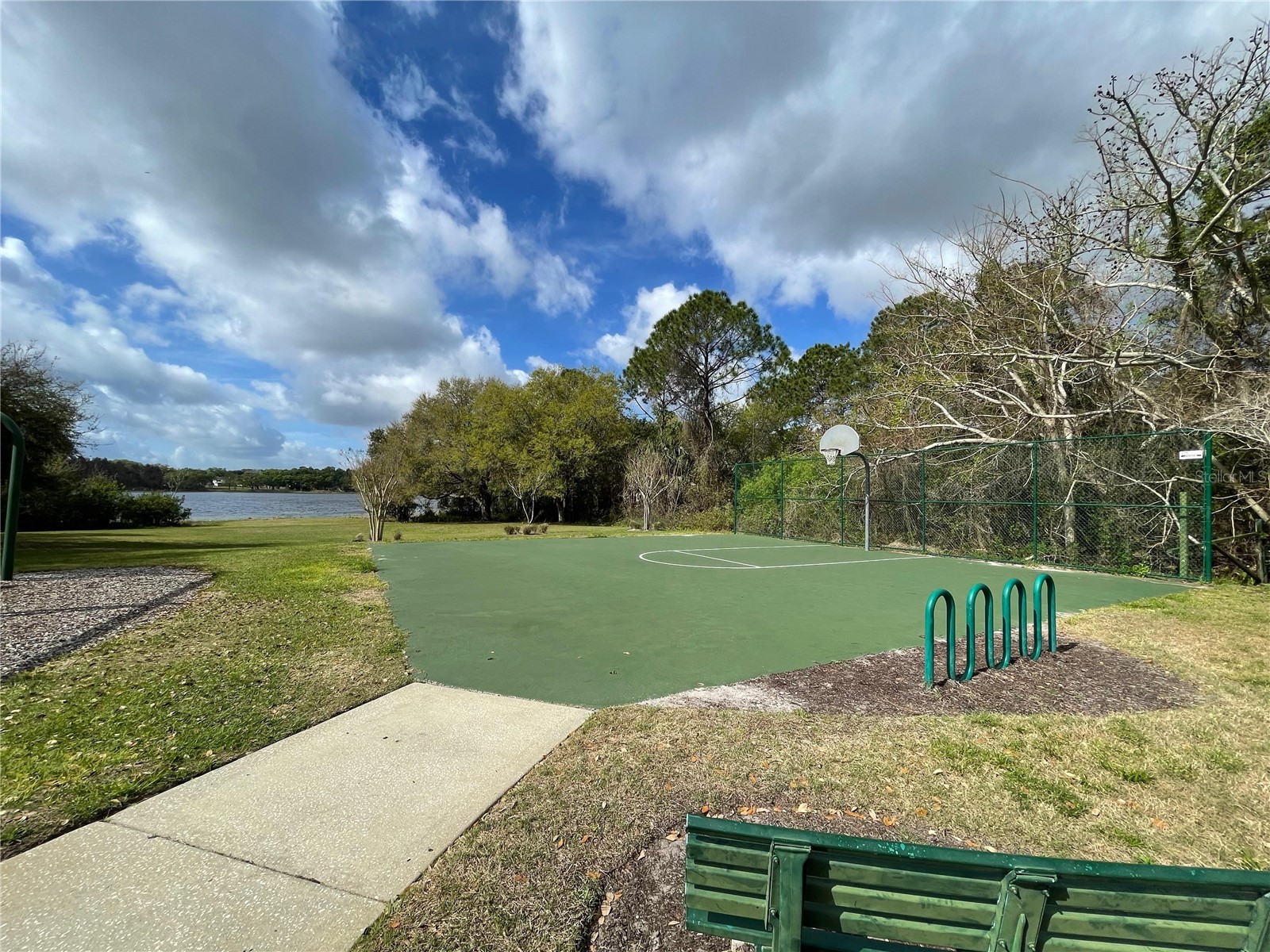 1073 Turtle Lake Court Ocoee FL 34761 S5146113 image33