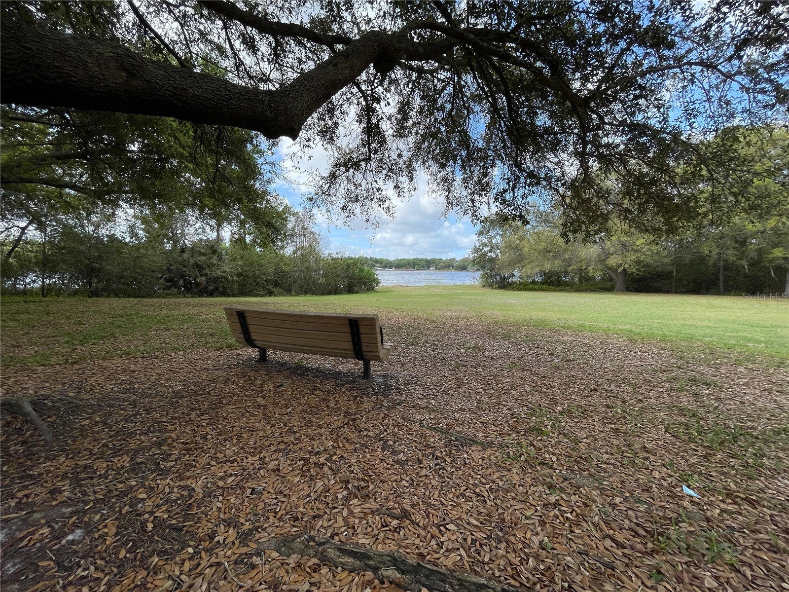 1073 Turtle Lake Court Ocoee FL 34761 S5146113 image34