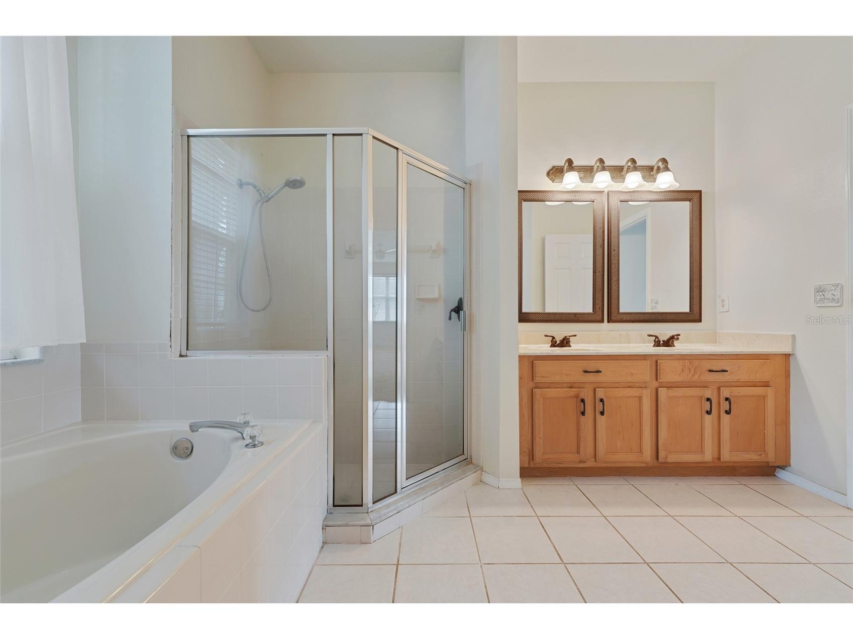 1073 Turtle Lake Court Ocoee FL 34761 S5146113 image36
