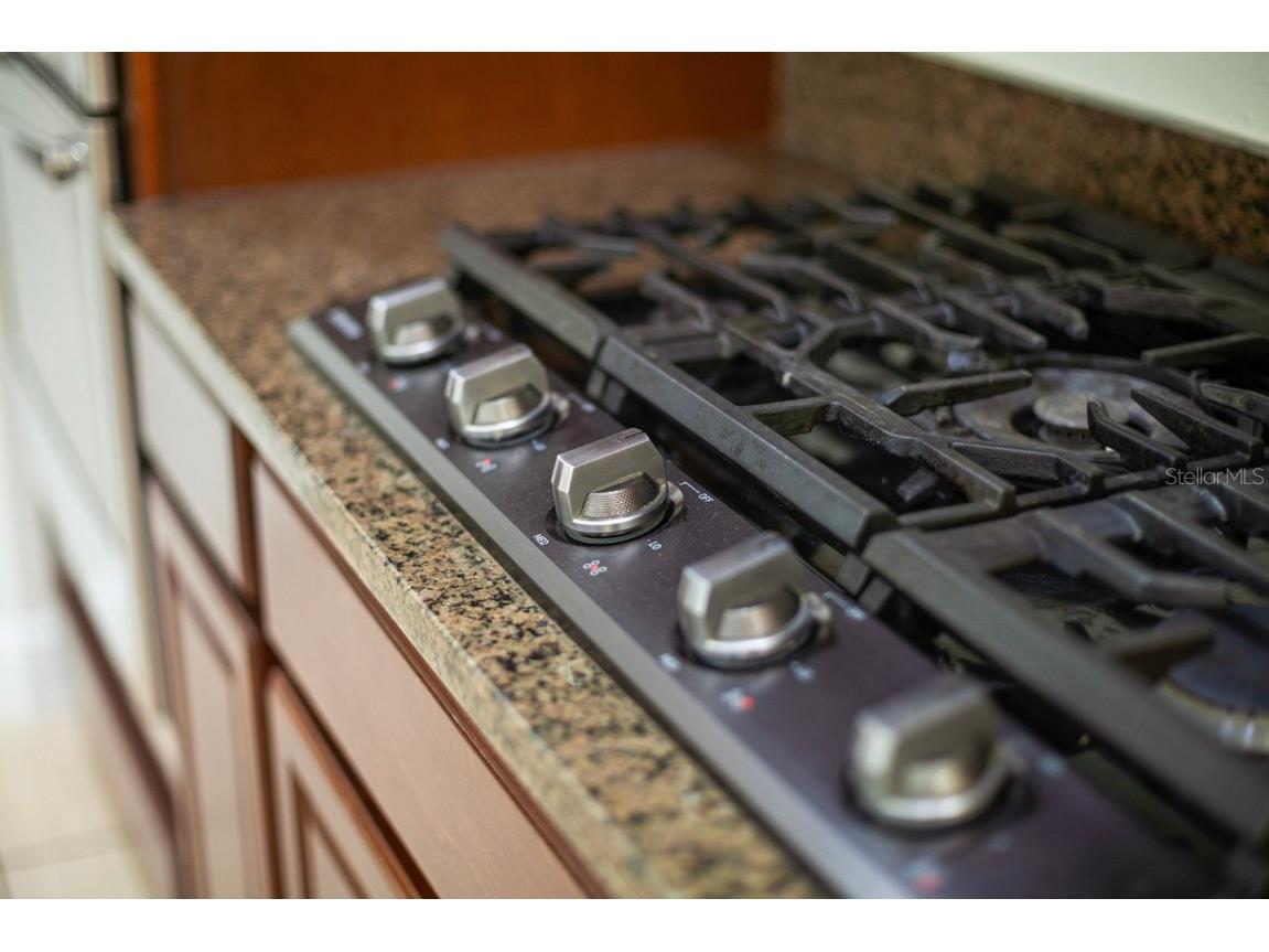 1073 Vinsetta Circle Winter Garden FL 34787 O6328215 image25